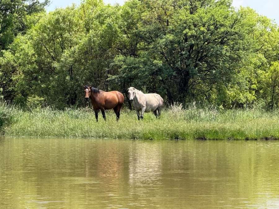 Commercial Property for Sale in Rustenburg Rural North West